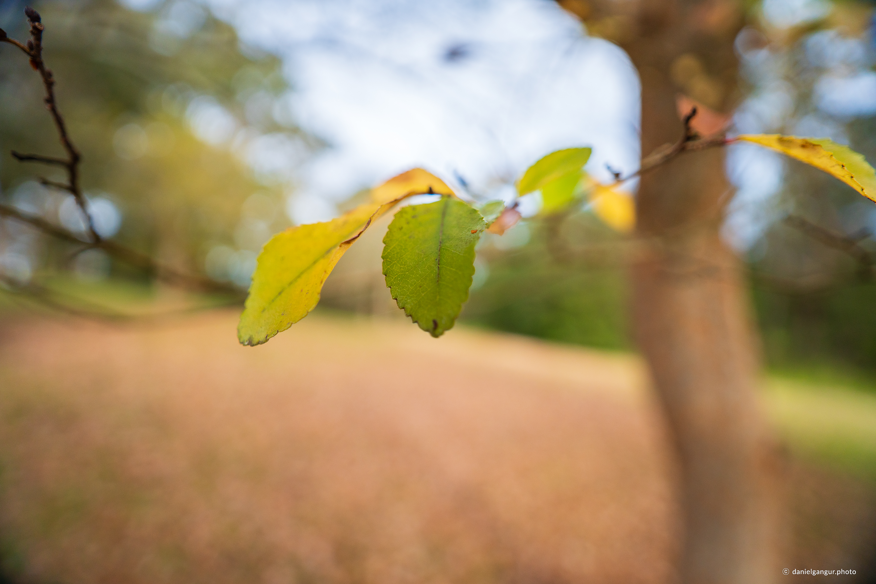 /upload/inspiration/gallery/1791340110.png