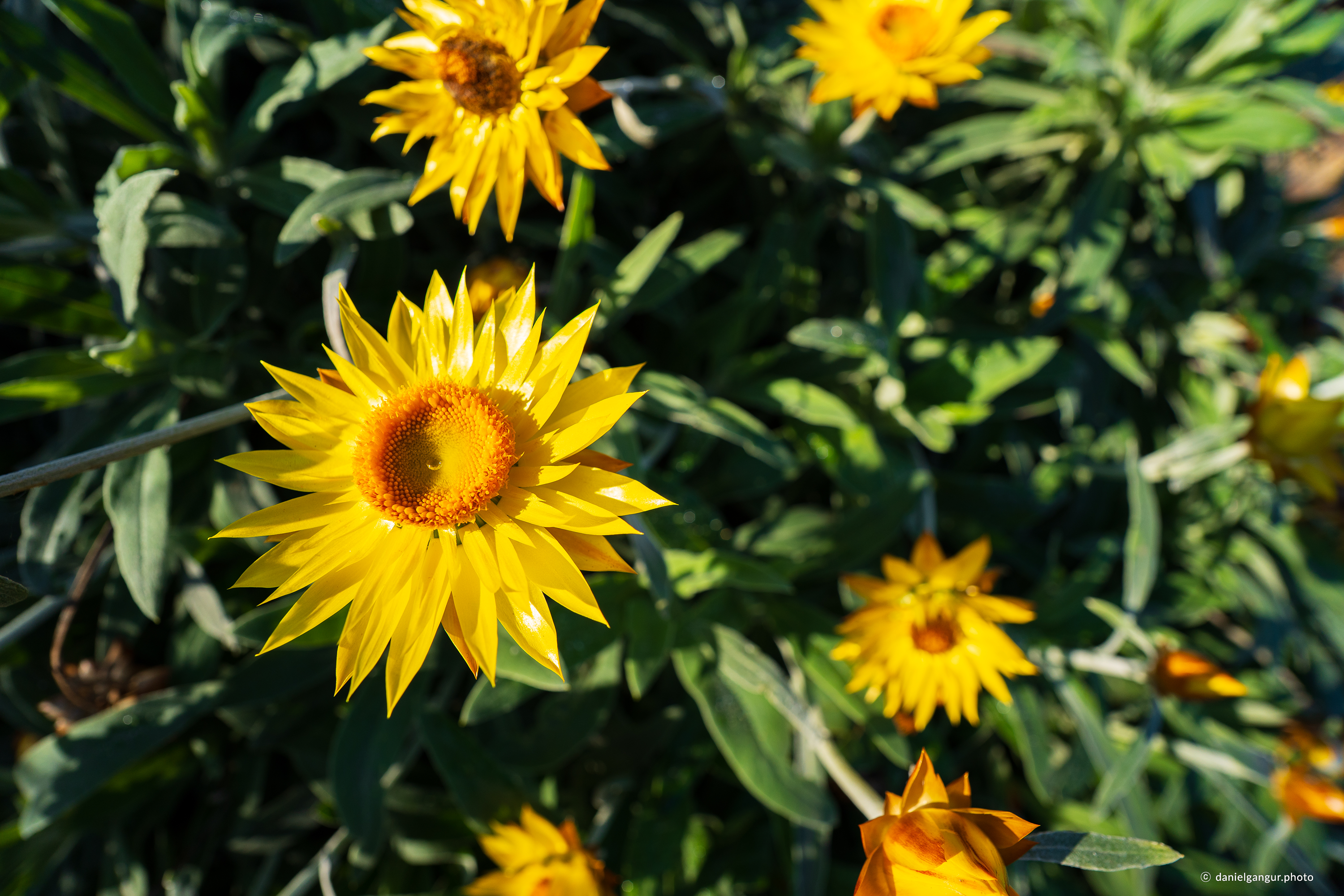 /upload/inspiration/gallery/1791340220.png