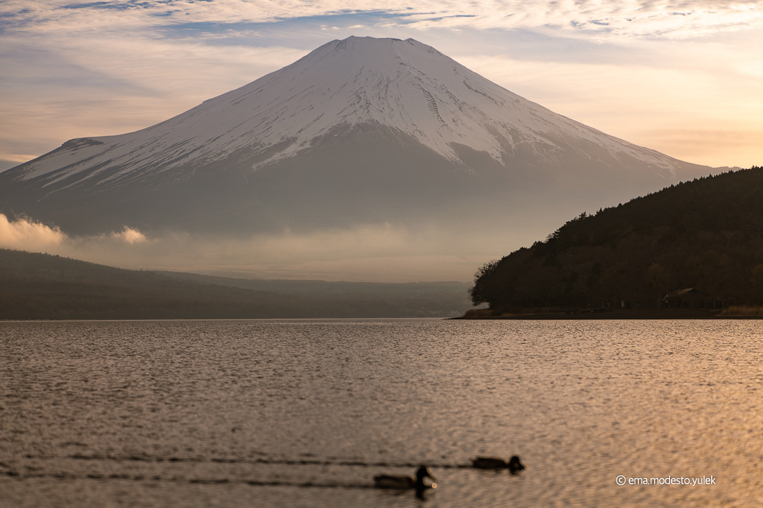 /upload/inspiration/gallery/1793932567.png