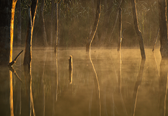 /upload/inspiration/gallery/1804643313.png